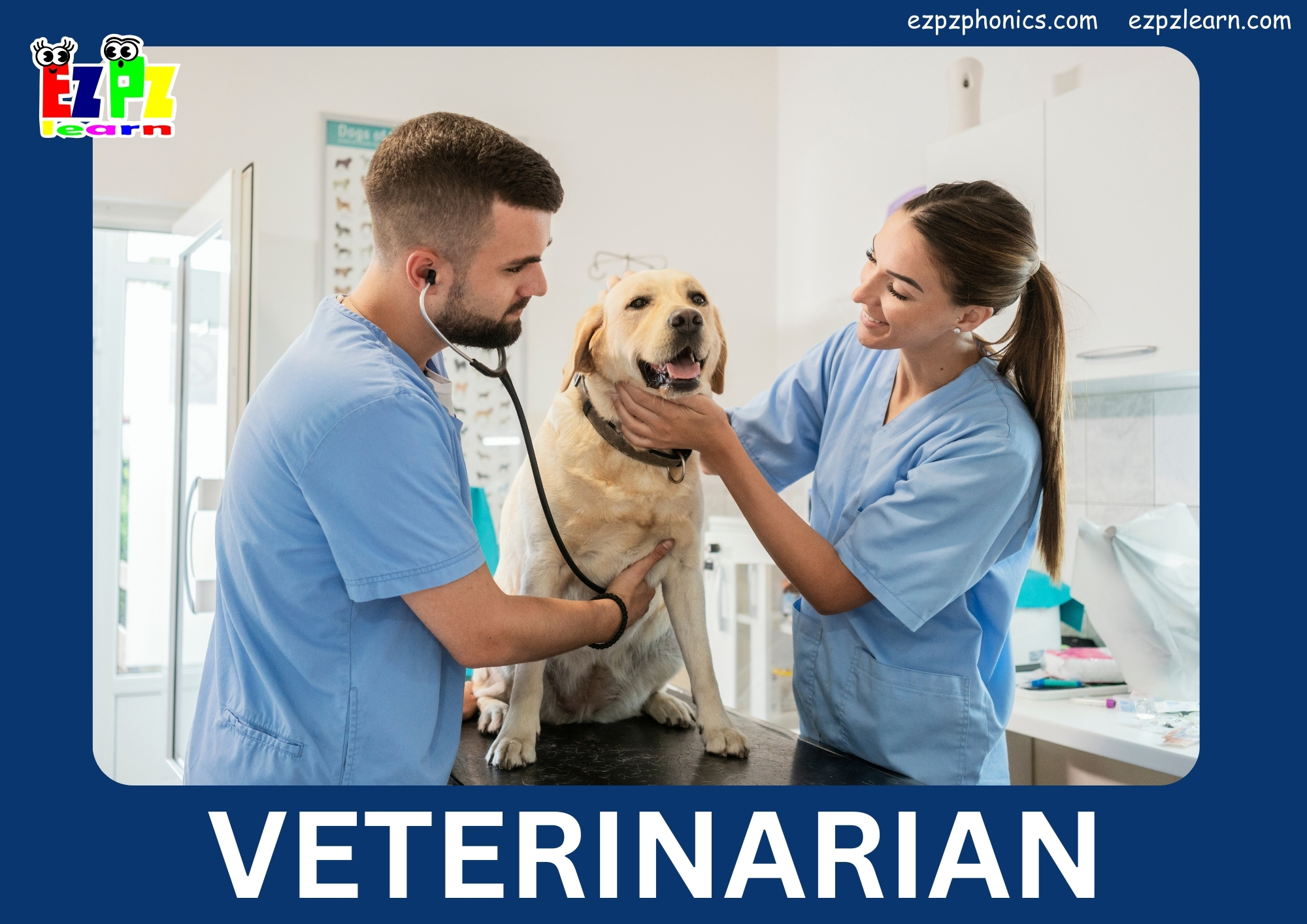 veterinarian